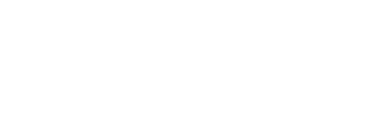 Bixel design client - BNI sydney north west & perth sensation logo